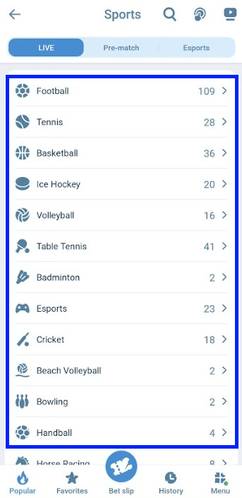 Sports Favorit Pemain Indonesia